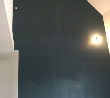 Les murs commencent à prendre des couleurs, mur de la montée d'escalier qui sera en bois avec un limon central bois egalement... Plus tard nous ouvriront la partie haute qui donnera sur une mezzanine on mettra une rambarde pour donner une sensation d'espace et de volumes