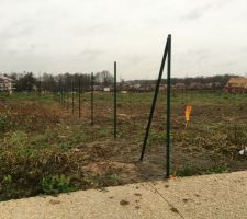 Les clotures des terrains arrivent au lotissement