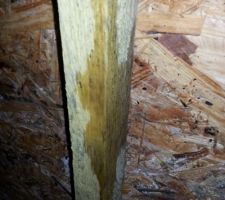 Fuite d'eau dans le garage