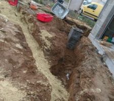 Passage TTE et gaines