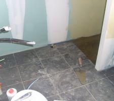 Carrelage salle de bain