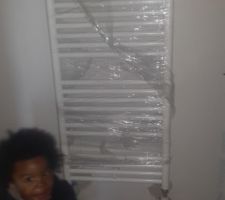 Encore mon ptit coco qui s'incruste . Sèche serviette du rdc