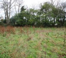 Donc voici notre terrain situ&eacute; sur les hauteurs de Lannion. Il va falloir commencer par d&eacute;fricher