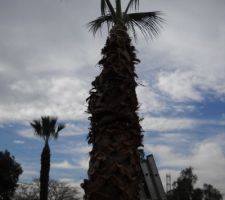 Il ne faut laisser qu'un plumeau si on veut &ecirc;tre tranquille un &agrave; deux ans