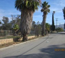 C'était avant la coupe de cheveux !