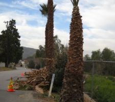 Au carrefour, la visibilit&eacute; est meilleure !