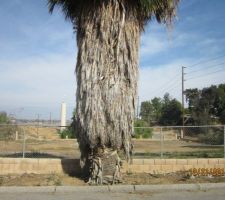 C'était avant la coupe de cheveux !