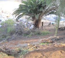 Celui l&agrave; je le garde !