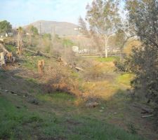 Vue vers l'ouest. Les deux "coton-tiges" ont &eacute;t&eacute; coup&eacute;s.