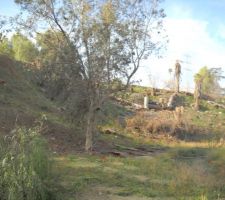 Vall&eacute;e, pente sud, expos&eacute;e nord. Au premier plan, un eucalyptus local.