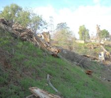 Vall&eacute;e, pente sud, expos&eacute;e nord.