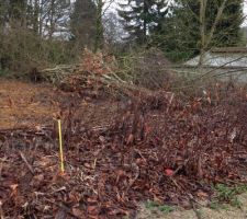 L'elagage des terrains c&ocirc;t&eacute; gauche ont commenc&eacute; et ils ont tout mis sur notre futur terrain
Ils ont &eacute;lagu&eacute; une partie du notre tout de m&ecirc;me