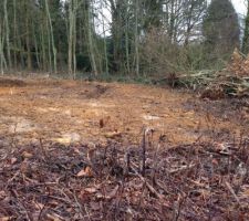 L'elagage des terrains c&ocirc;t&eacute; gauche ont commenc&eacute; et ils ont tout mis sur notre futur terrain
Ils ont &eacute;lagu&eacute; une partie du notre tout de m&ecirc;me