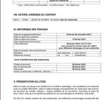 Rapport expertise 1