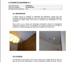 Rapport expertise 1