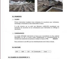 Rapport expertise 1