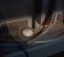 Détecteur fuite d'eau fibaro fgfs-101