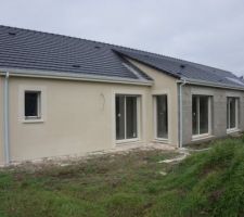 Crépis de la façade sud en cours