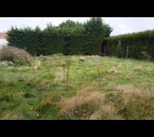 Terrain: vue depuis la maison (Sud)