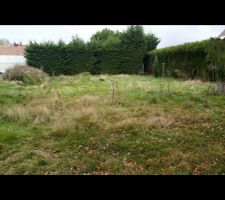 Terrain: vue depuis l'entr&eacute;e (sur l'Ouest)