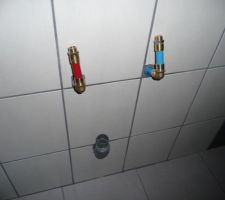 SDB etage suite.