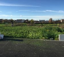 Proprietaire depuis 4 jours et 1er coup de tondeuse pour d&eacute;broussailler tout &ccedil;a