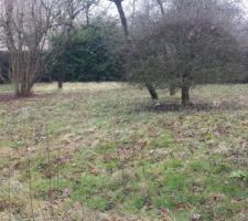 Achat du terrain qui fait 725m2