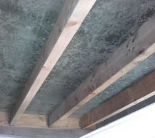 Les dégâts du mauvais temps sur l'osb du garage (6)...