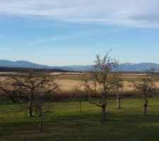 Vu sur les Vosges de l'étage
