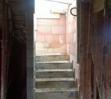 04.02.2016 Escalier de l'&eacute;tage coul&eacute; !