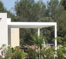 Un des voisins a fait installé une belle pergola bioclimatique : les lamelles de la pergola sont orientables, pour limiter le soleil en été mais le laisser passer en hiver.
