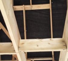 Des petits trous des petits trous ...