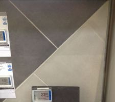 Carrelage sol gris Notteri 50 x 50 cm