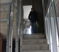 Escalier