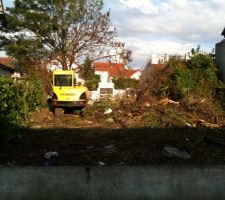 D&eacute;broussaillage du terrain