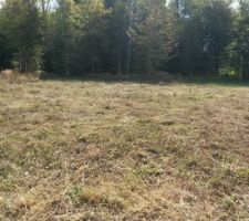 En attendant de nouvelles photos ... qui ne se font pas à cause du temps voici les photos du terrain avant que l  on achete