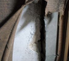 Vu de vu arri&egrave;re