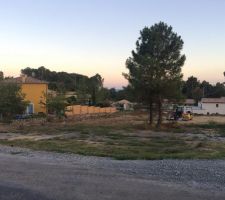 TERRAIN BRUT 425m2 (2 abres a abattre)