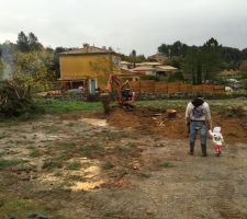 Abattage des arbres se trouvant a l'emplacement de la terrasse