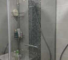 Paroi de douche miroir de la plateforme du bâtiment