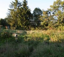 L'arrière du terrain, ou se trouvera la future maison, le garage et le potager ^^