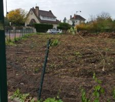 Abattage des arbres termin&eacute;