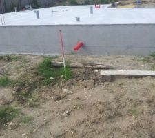Vide sanitaire