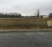 Vue depuis la route du terrain.