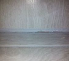 Sol affaisé sur 1,5 cm dans les deux chambres enfants puis fissure et baisse du sol de quelques millimètres dans toute la maison....