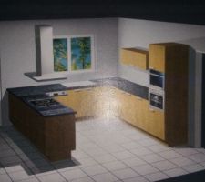 CHOIX DE LA CUISINE