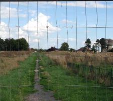 Le lotissement avant