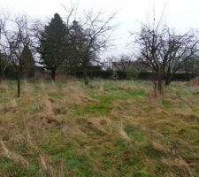 Premi&egrave;re visite du terrain, coup de c?ur.