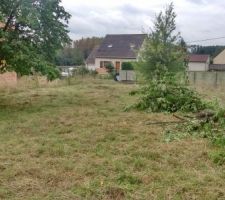 Débroussaillage presque terminé (2 après-midi)
