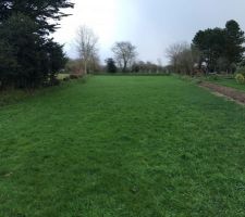 Une meilleur photo de l'ensemble du terrain un jour de pluie
